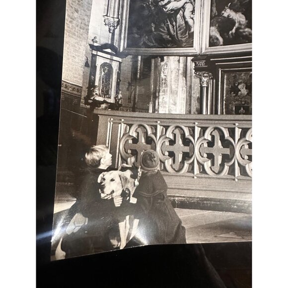 Vintage 1959 "A Dog Of Flanders" Movie Scene Photo Featuring Boy David Ladd & Do - Picture 10 of 14